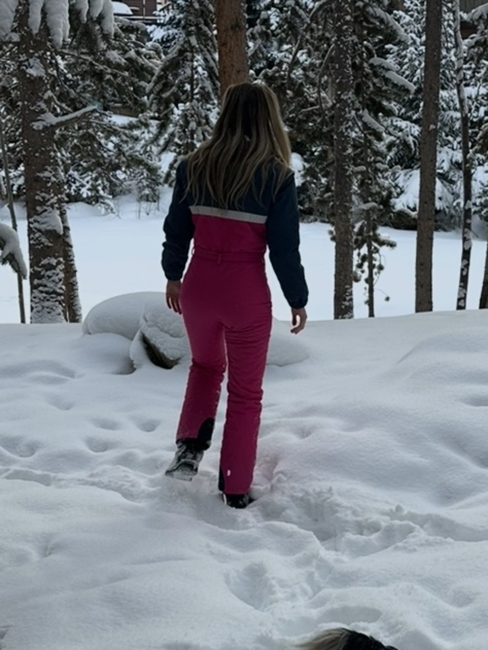 VINTAGE POWDERHORN ski suit from Breckenridge Colorado ❄️ - Picture 2 of 11